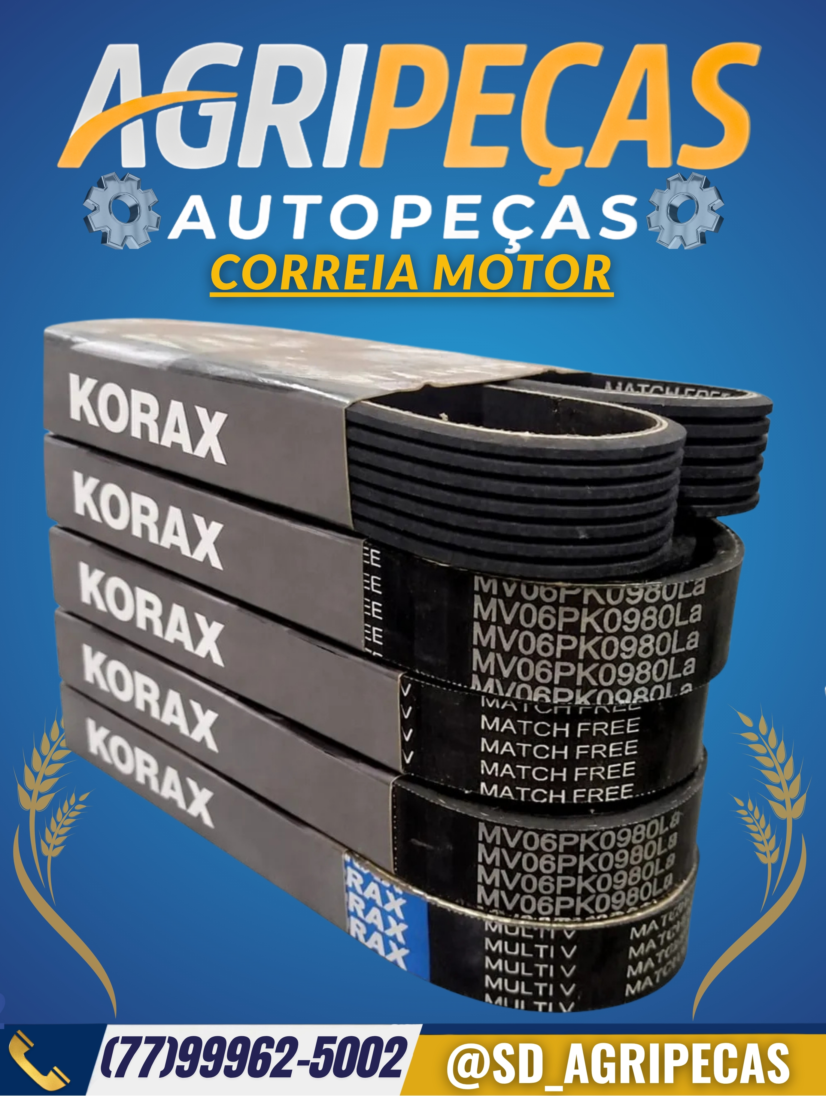 CORREIA MOTOR